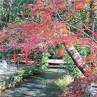 京都200511