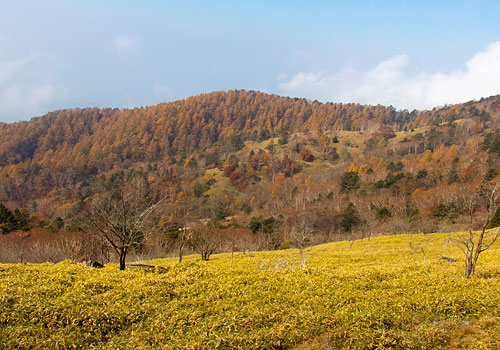 大菩薩峠2015