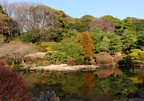小石川植物園2015