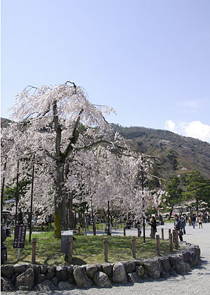 京都200704