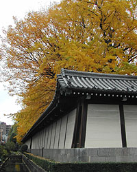 京都200611