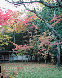 京都200611