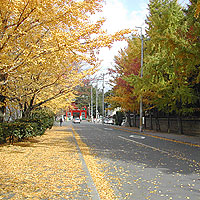 京都200611