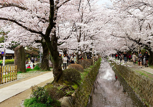 京都2014