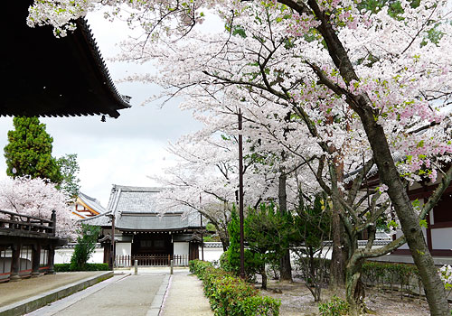 京都2014