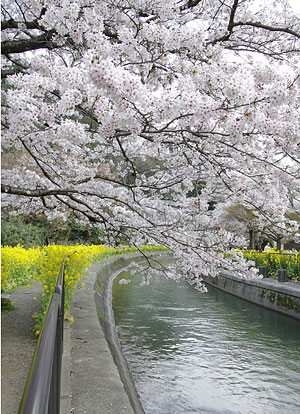 京都200704