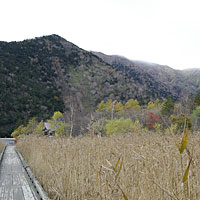 日光200610