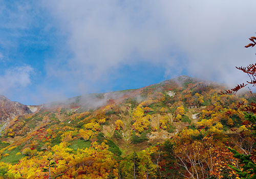 栂池自然園2013