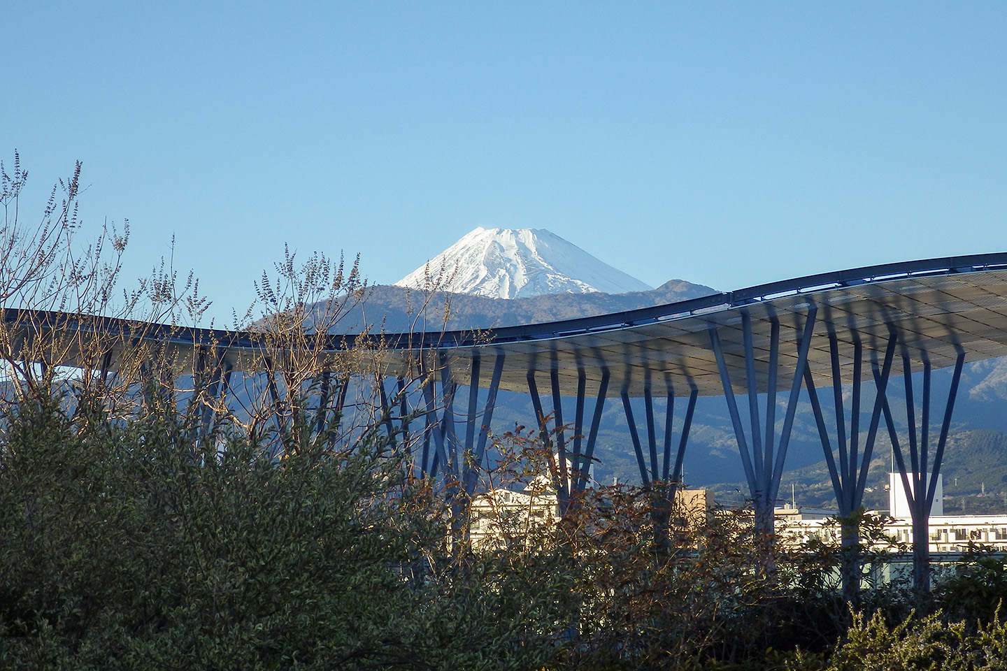 プラサヴェルデからの富士山2022