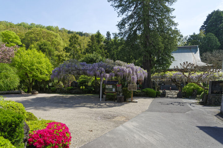 伊東・林泉寺