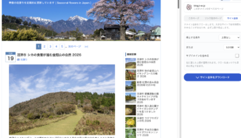 Website Downloader