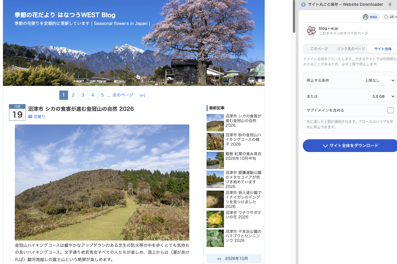 Website Downloader